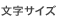 文字サイズ