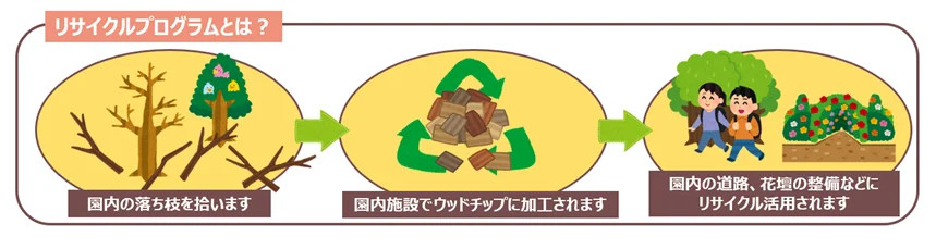落ち葉広い