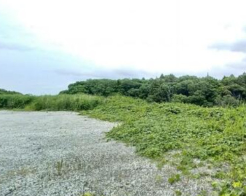 高西新田 京成成田空港線[千葉ニュータウン中央駅]の貸地物件の詳細はこちら