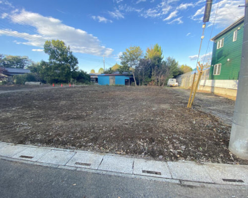 さいたま市岩槻区 東武野田線岩槻駅の貸地画像(1)